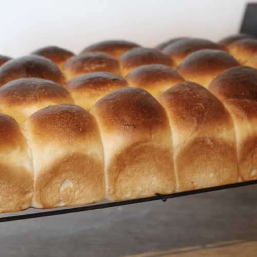 Brioche Rolls